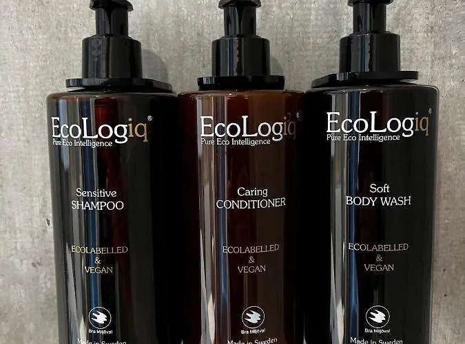 Hotell Frichs Ekspress 3*